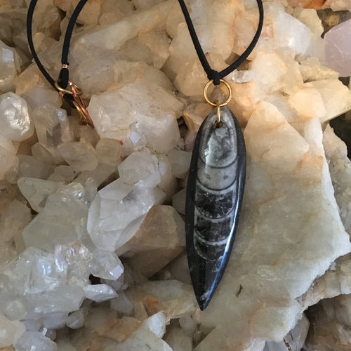 Orthoceras Fossil & Leather Necklace